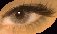 eye1.jpg (1589 bytes)