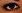 eye5.jpg (809 bytes)